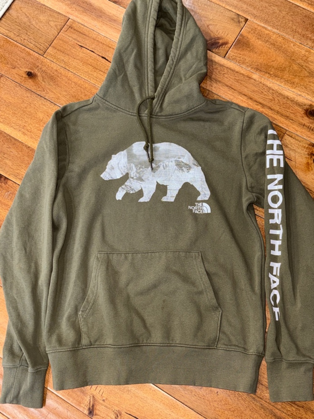 The North Face Bear Logo Hoodie with Drawstring